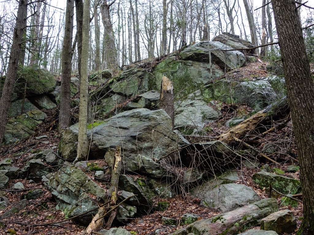 Nurian Trail (white N markers) | Tuxedo, NY 10975, USA