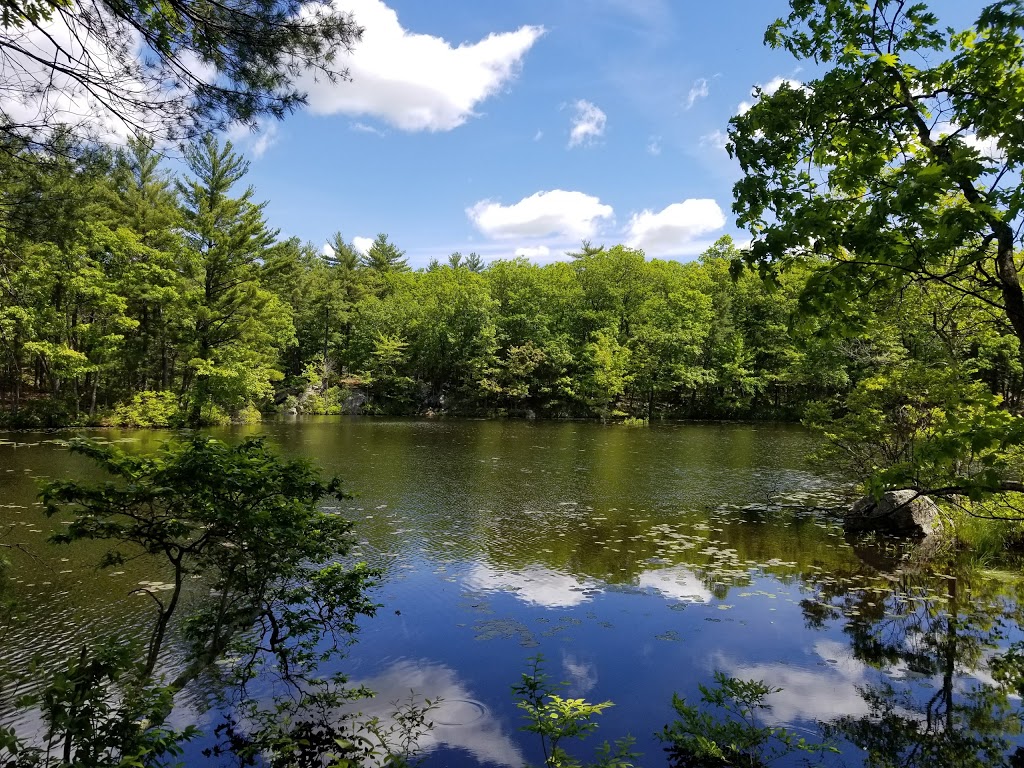 Harold Parker State Forest | 133 Jenkins Rd, Andover, MA 01810, USA | Phone: (978) 475-7972