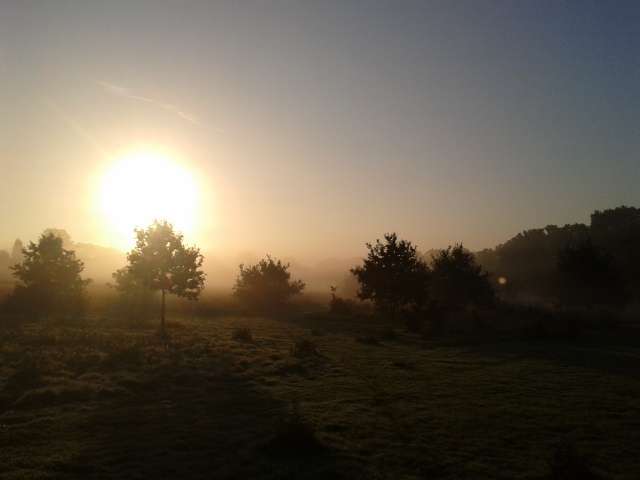 Eden Valley Woodland Burial Ground | Crouch House Road, Edenbridge TN8 5LG, UK | Phone: 01732 860109