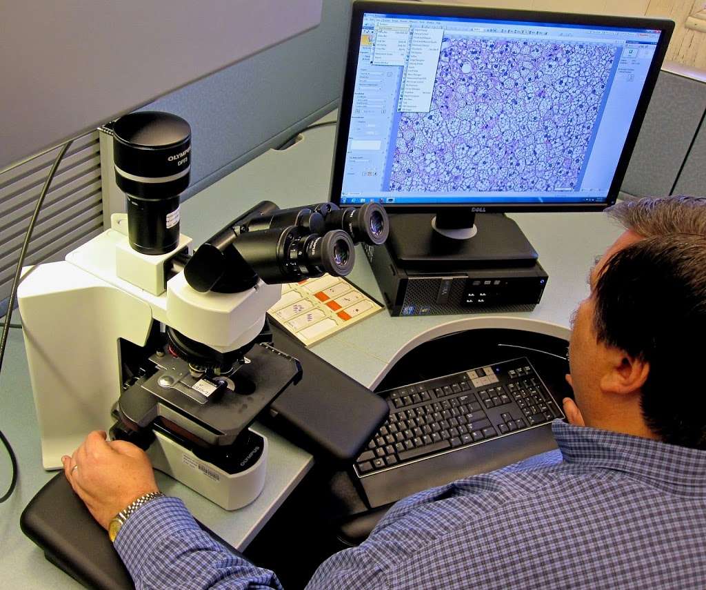 Comparative Pathology Laboratory | 1000 Old Davis Rd building r1, Davis, CA 95616, USA | Phone: (530) 752-2832