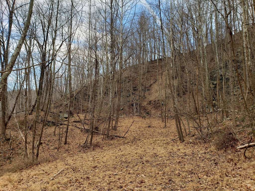 Patapsco Valley State Park trailhead and parking | Old Frederick Rd, Ellicott City, MD 21043 | Phone: (410) 461-5005