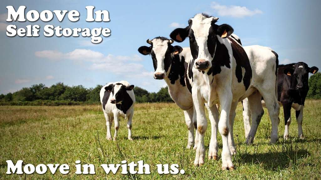 Moove in Self Storage - Greenbriar Road | 2290 Greenbriar Rd, York, PA 17404, USA | Phone: (717) 767-4466