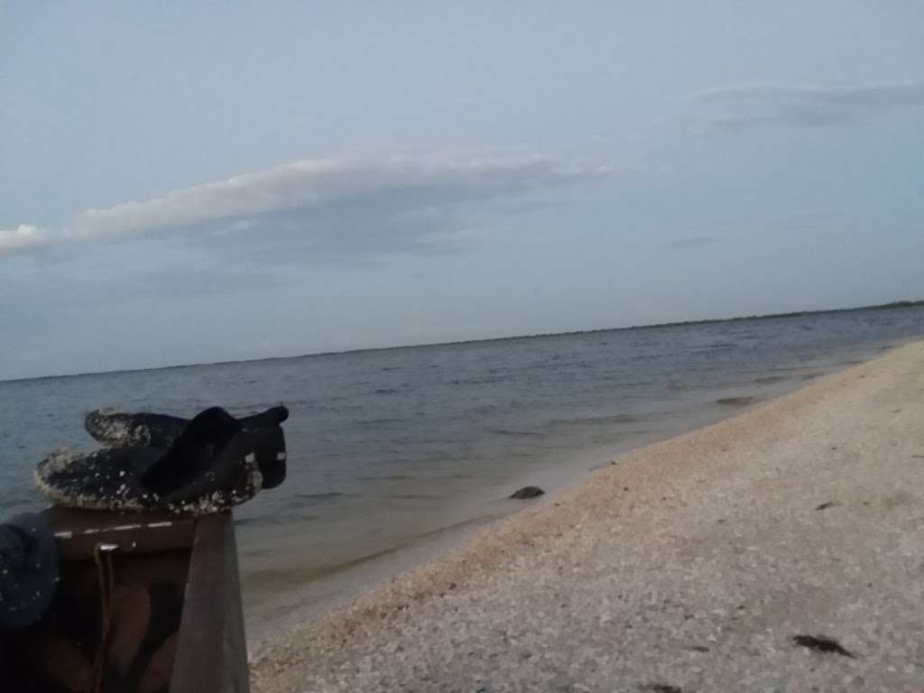 Horseshoe Crab Island | Titusville, FL 32796, USA