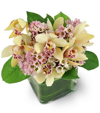 Amazon Flowers | 6730 SW 20th Ct, Miramar, FL 33023 | Phone: (954) 962-6887