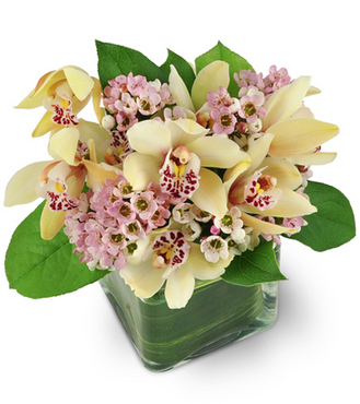 Amazon Flowers | 6730 SW 20th Ct, Miramar, FL 33023, USA | Phone: (954) 962-6887