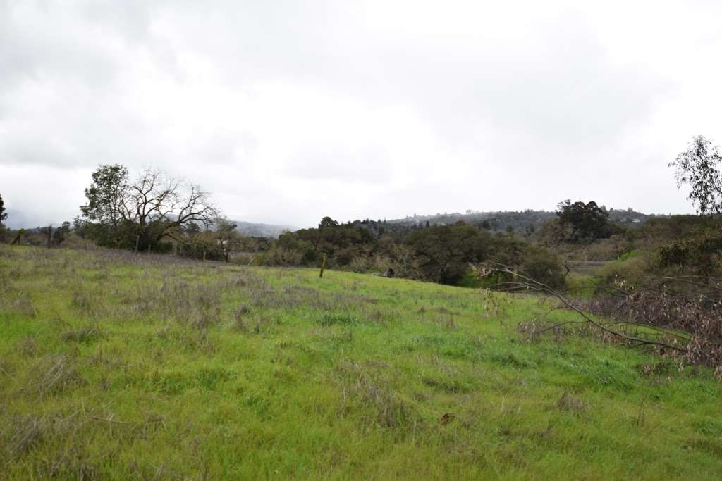 Stanford Dish Trail Parking | 1-7 Piers Ln, Portola Valley, CA 94028