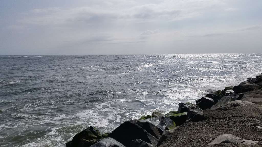 Avalon Seawatch -- Cape May Bird Observatory | 25 9th St, Avalon, NJ 08202, USA