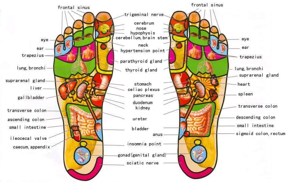 Reflexology CC Foot Relax | 14735 Bratton Ln #270, Austin, TX 78728, USA | Phone: (512) 792-7318