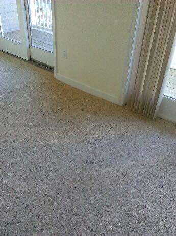 Ecogreen Pro: Carpet Cleaning Services | 109 Founders Ct, Bethlehem, PA 18020 | Phone: (833) 994-7336