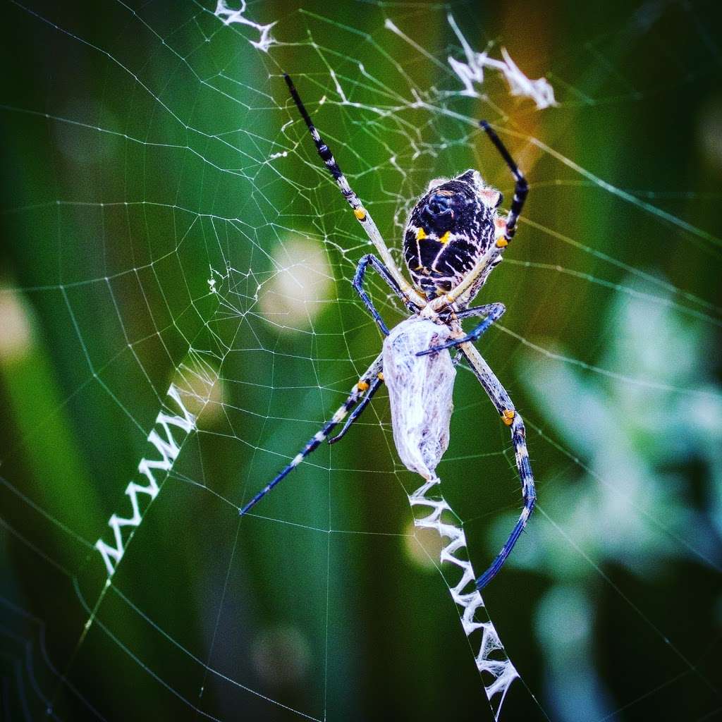 Laguna Coast Wilderness Park Nix Nature Center | 18751 Laguna Canyon Rd, Laguna Beach, CA 92651 | Phone: (949) 923-2235