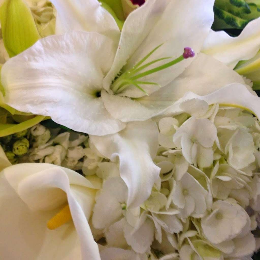 CC fine florals | 8 Whatney, Irvine, CA 92618, USA | Phone: (949) 702-2266