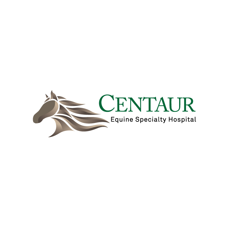 Centaur Equine Specialty Hospital | 350 W Bassett Rd, Shelbyville, IN 46176, USA | Phone: (317) 398-1980