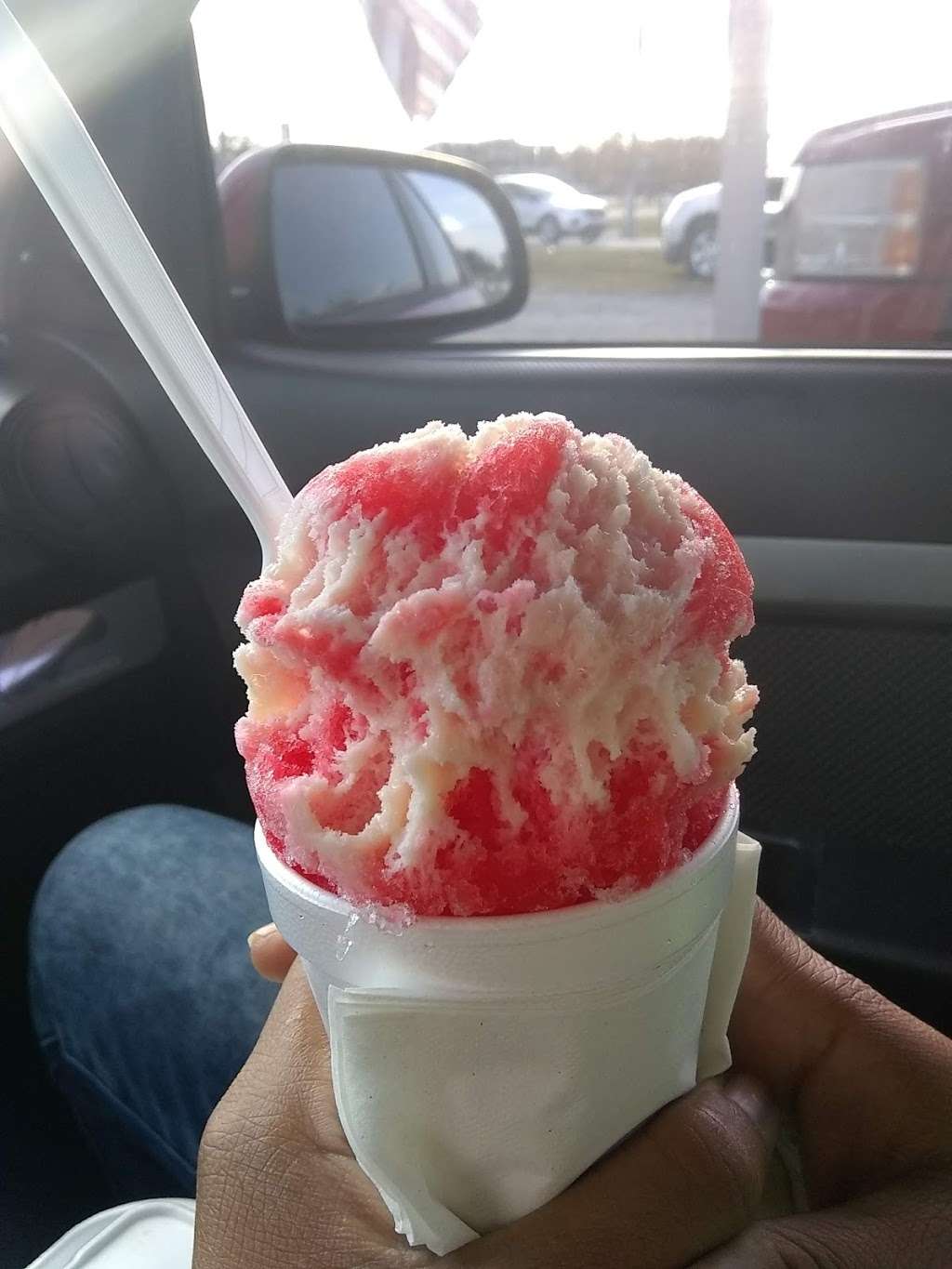 Pelicans SnowBalls | 1020 US-92, Auburndale, FL 33823, USA | Phone: (863) 514-9542