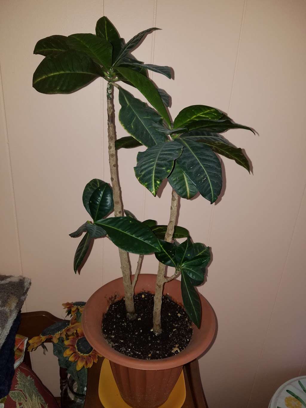 Pampered Soul Massage - Mobile Massage & Spa | 2233, 350 Kelly Ave, Brick, NJ 08724, USA | Phone: (732) 492-4707