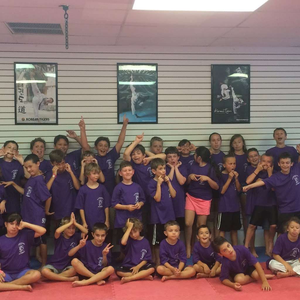 Taekwondo Academy of Self Defense | 192 Laurel Rd, East Northport, NY 11731, USA | Phone: (631) 651-2948