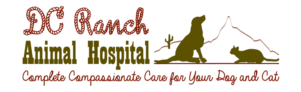 DC Ranch Animal Hospital | 20875 N Pima Rd C3, Scottsdale, AZ 85255, USA | Phone: (480) 538-8300