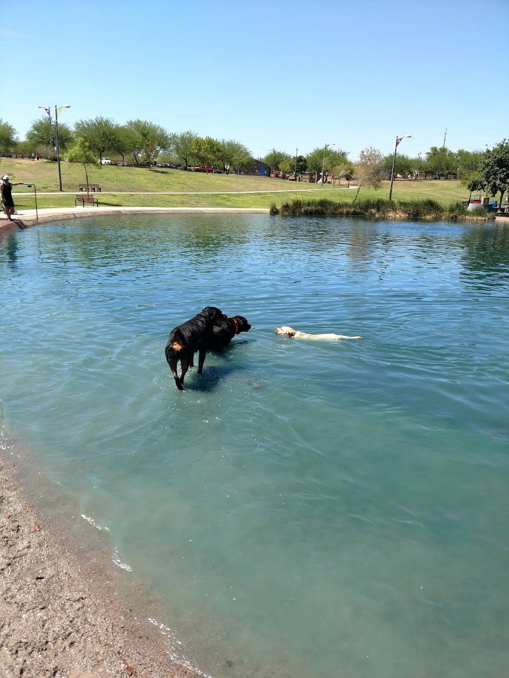 Cosmo Dog Park | 2502 E Ray Rd, Gilbert, AZ 85296, USA | Phone: (480) 503-6200