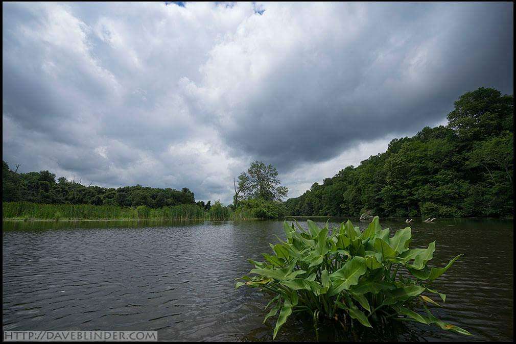 Paulinskill River Wildlife Management Area | Junction Rd, Newton, NJ 07860 | Phone: (609) 984-0547