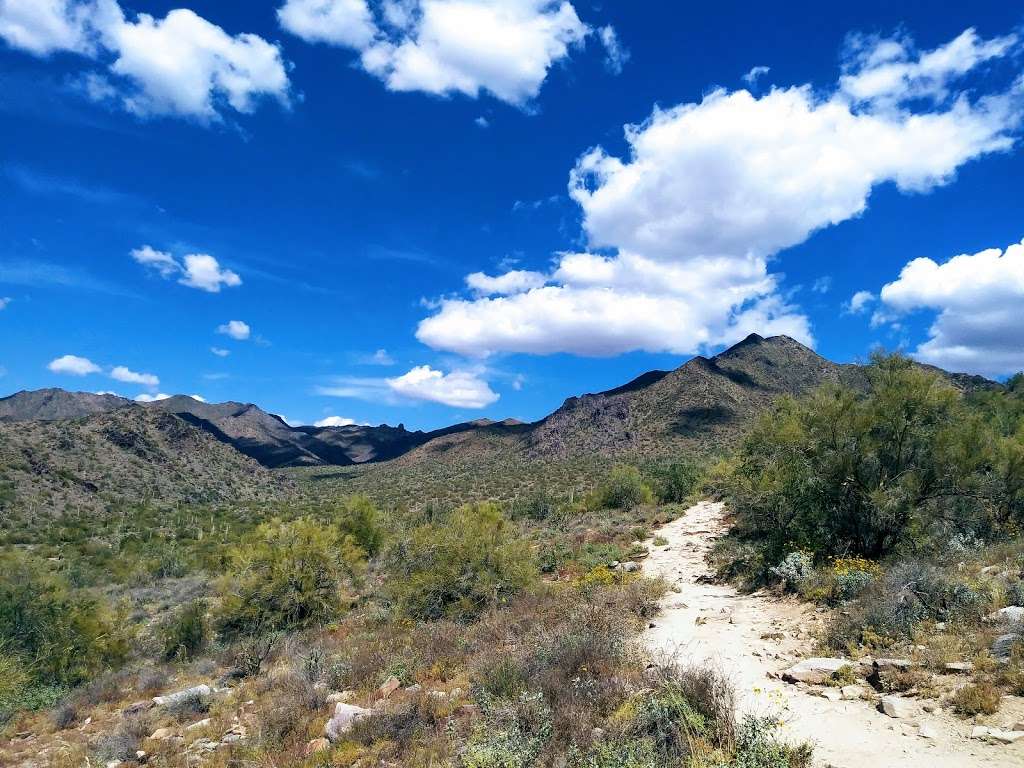 Gateway w/Aiden | Gateway Loop Trail, Scottsdale, AZ 85255