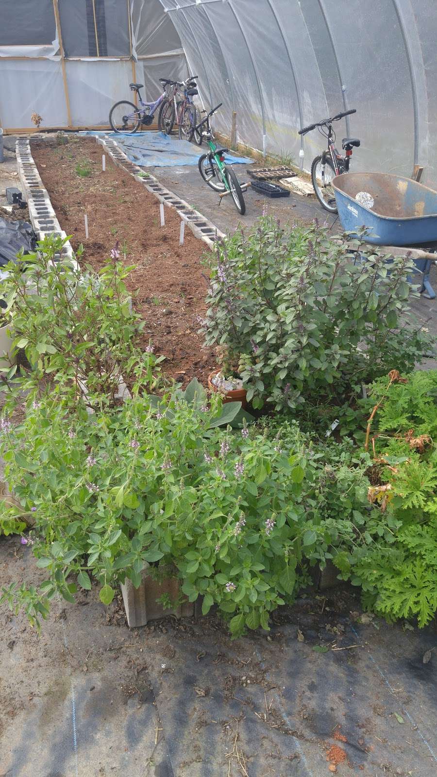 WatermelonStand.com | 28 Cardinal Dr, Fredericksburg, VA 22406, USA | Phone: (540) 602-5990