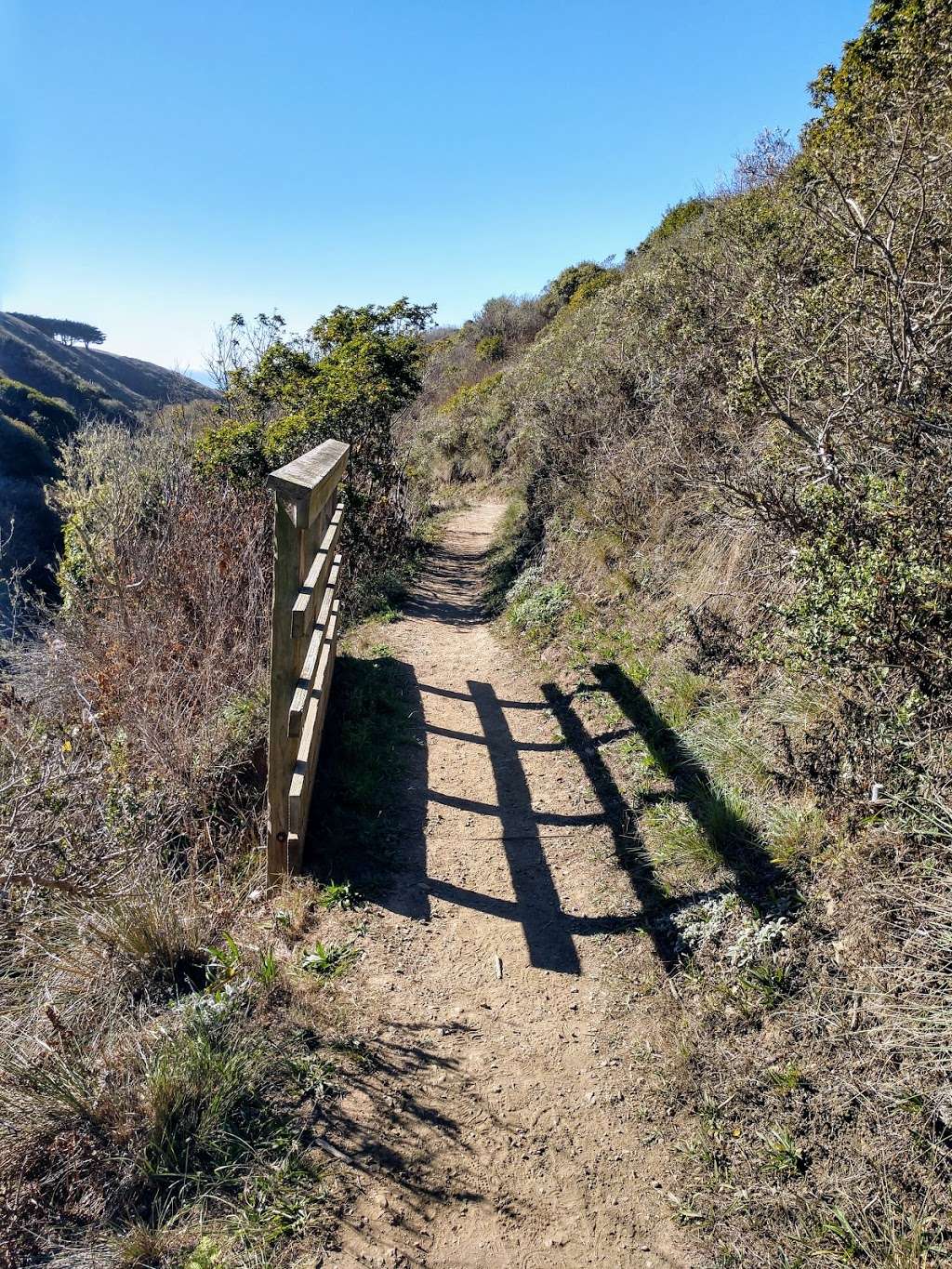 Pinnacle Gulch Trail | 20600 Mockingbird Dr, Bodega Bay, CA 94923, USA