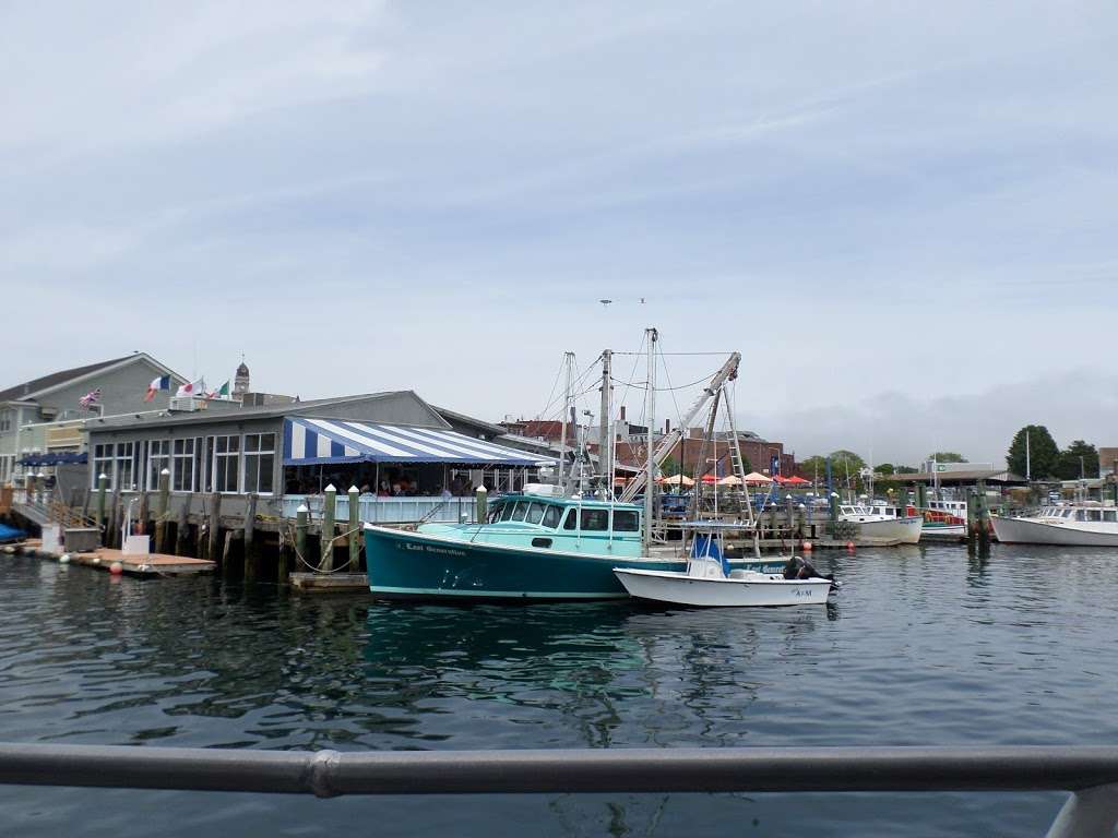 7 Seas Whale Watch | 63 Rogers St, Gloucester, MA 01930, USA | Phone: (978) 283-1776