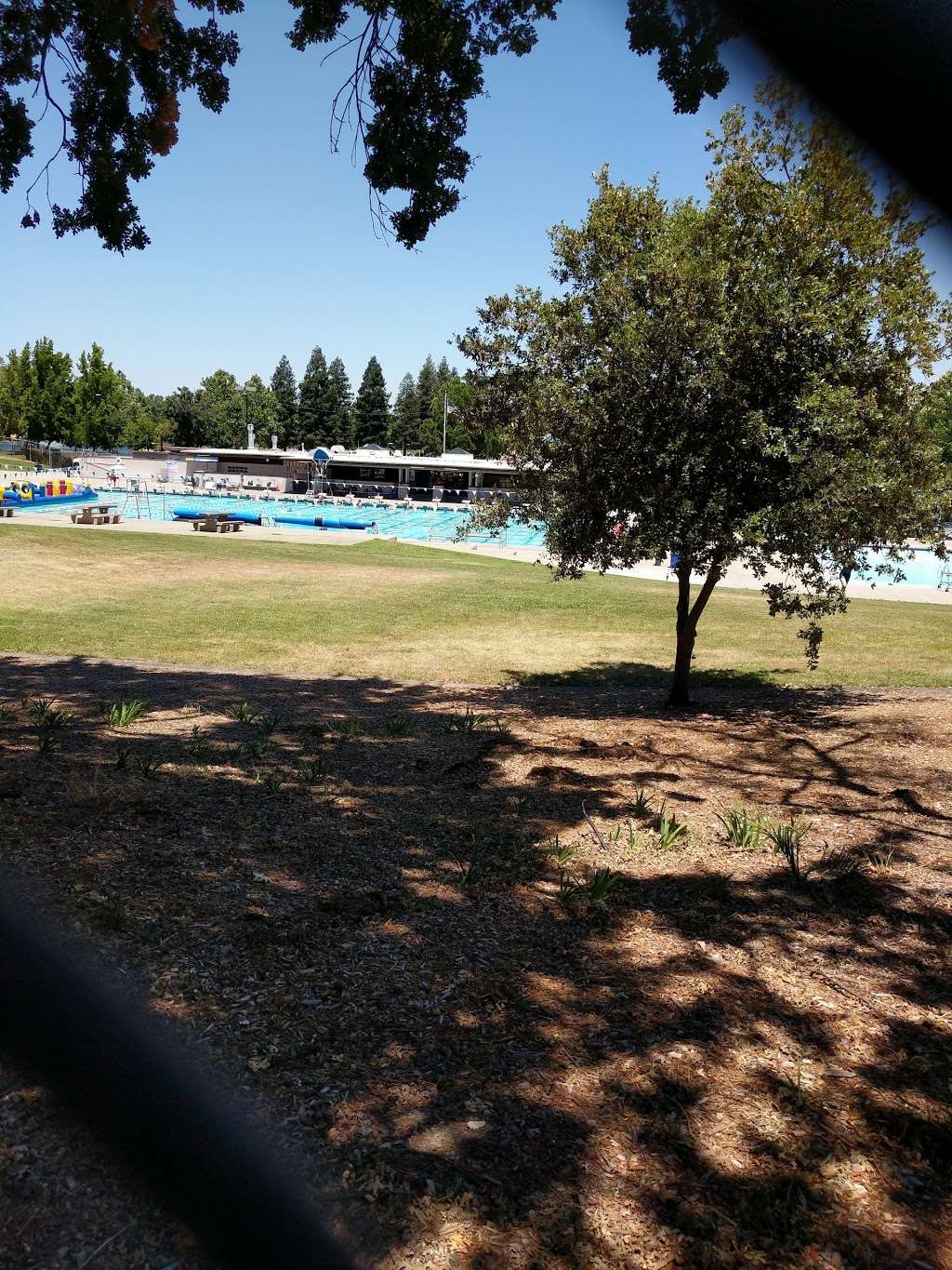 Walnut Creek Masters Swim Team | 1750 Heather Dr, Walnut Creek, CA 94598, USA | Phone: (925) 280-5421