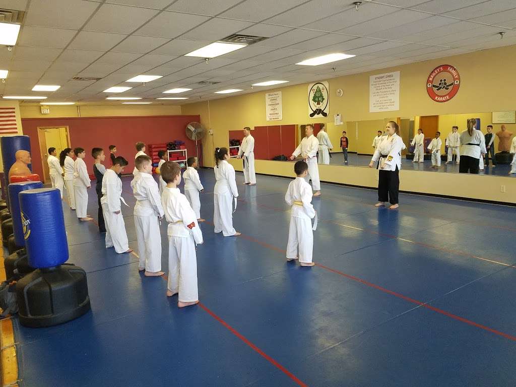 Baileys Family Karate | 9423 E Washington St, Indianapolis, IN 46229 | Phone: (317) 898-4444