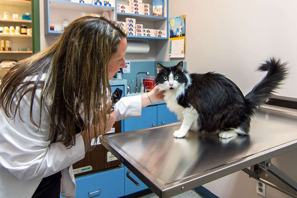 The Animal Hospital of Roxbury | 1901 US-46, Ledgewood, NJ 07852, USA | Phone: (973) 691-1771