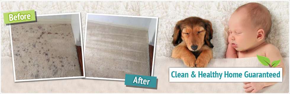 Carpet Cleaning in League City | 3202 Marina Bay Dr #42, League City, TX 77573, USA | Phone: (713) 999-9195