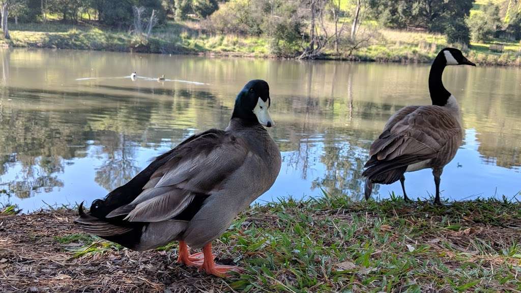 Ed R. Levin County Park - Ranger Office | Milpitas, CA 95035, USA | Phone: (408) 262-6980