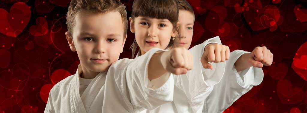 United Martial Arts Centers | 5036 NY-17M, New Hampton, NY 10958 | Phone: (845) 606-2211