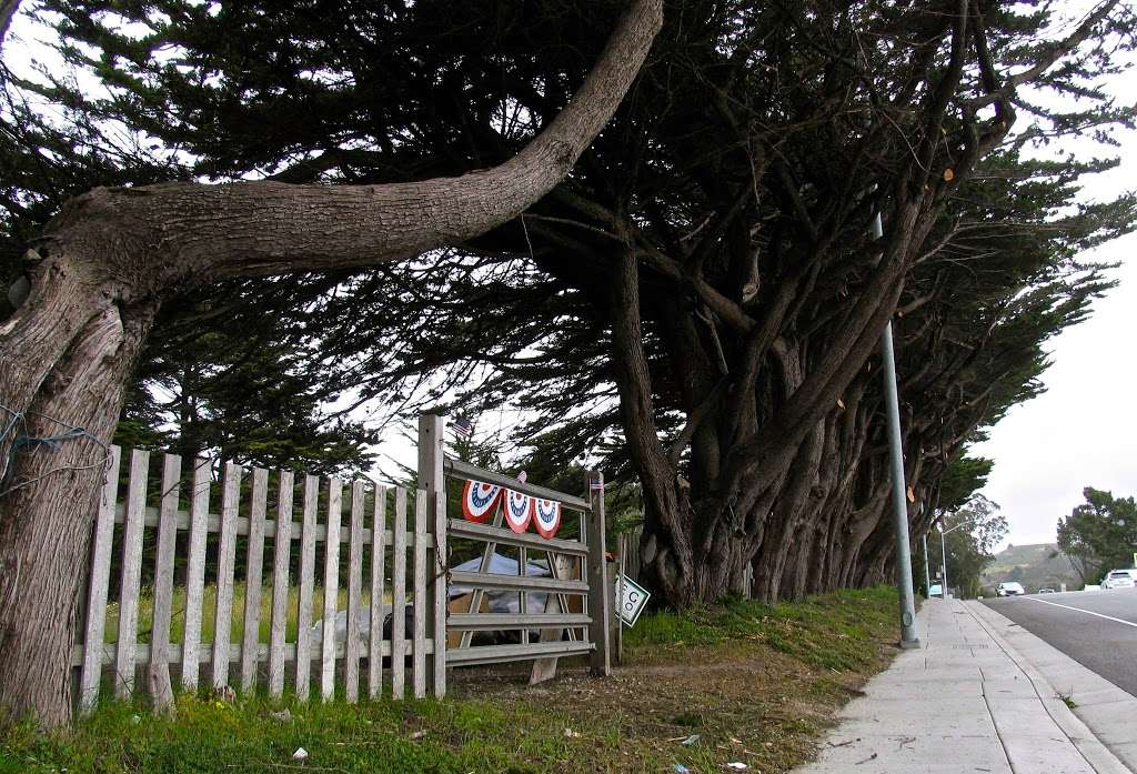 Independent Order of Odd Fellows Cemetery | Hwy 92, Box 712, Half Moon Bay, CA 94019, USA | Phone: (650) 712-0718