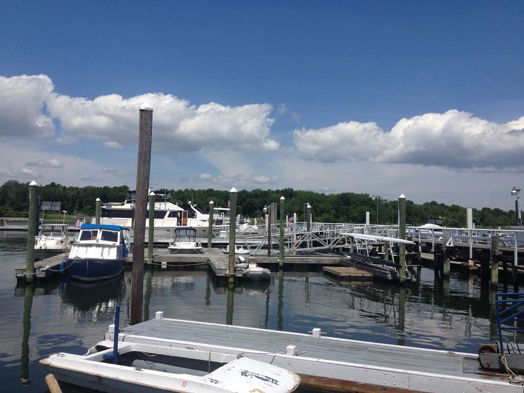 City Island Yacht Sales & Marina | 673 City Island Ave, Bronx, NY 10464, USA | Phone: (718) 885-2300