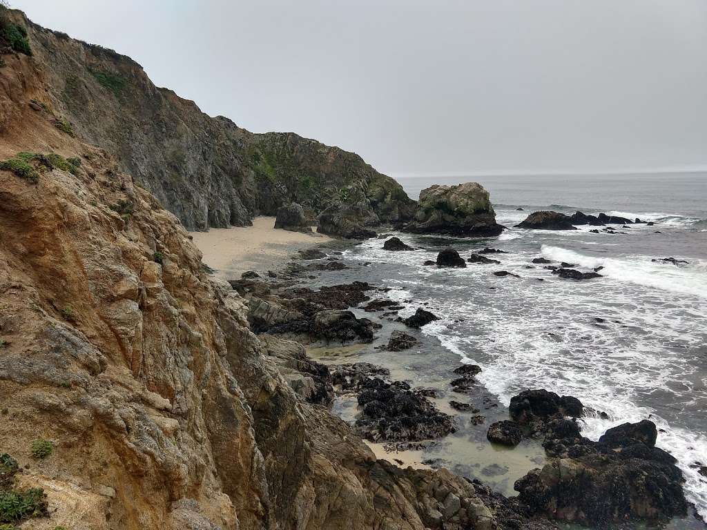 Tomales Point | Inverness, CA 94937, USA