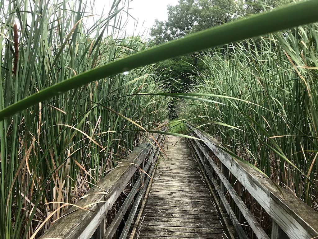 John Margis JR Wildlife Area | 7401 Fish Hatchery Rd, Burlington, WI 53105, USA