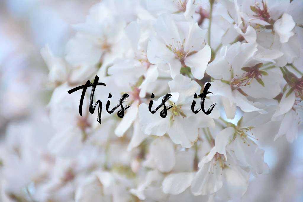 Yosuda: Mindfulness-Based Yoga and Enneagram | 704 Summit Ave, Philadelphia, PA 19128, USA | Phone: (608) 772-7949