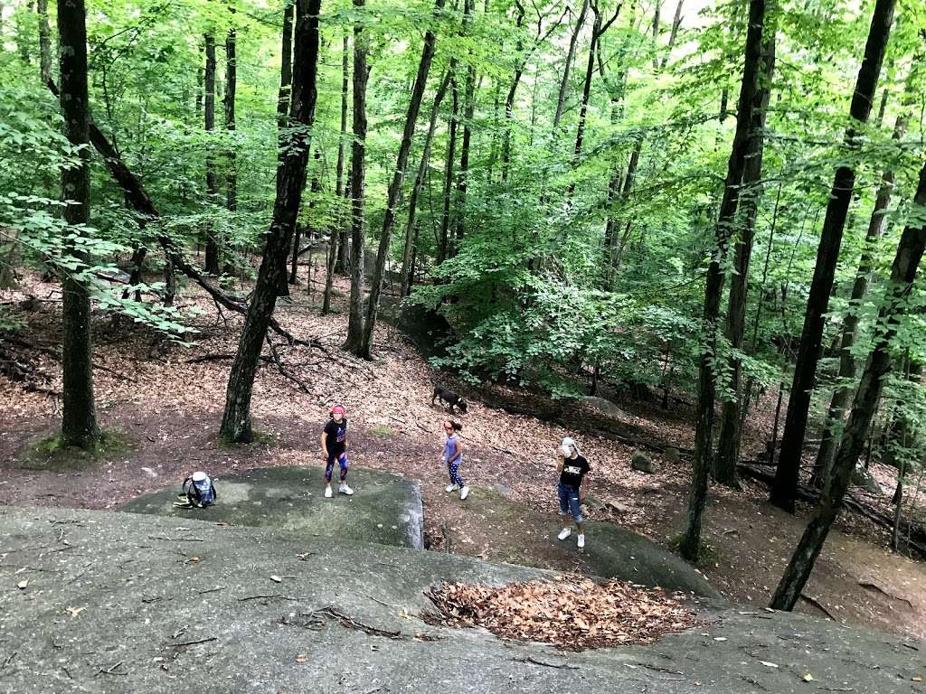 Giant Rock | Mohegan Lake, NY 10547, USA