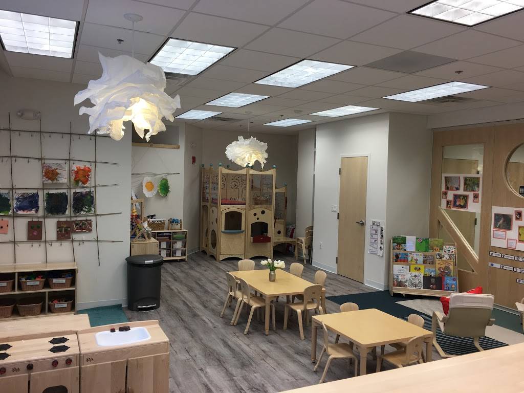 Cambridge Preschool of the Arts | 8 Museum Way, Cambridge, MA 02141, USA | Phone: (617) 547-9189