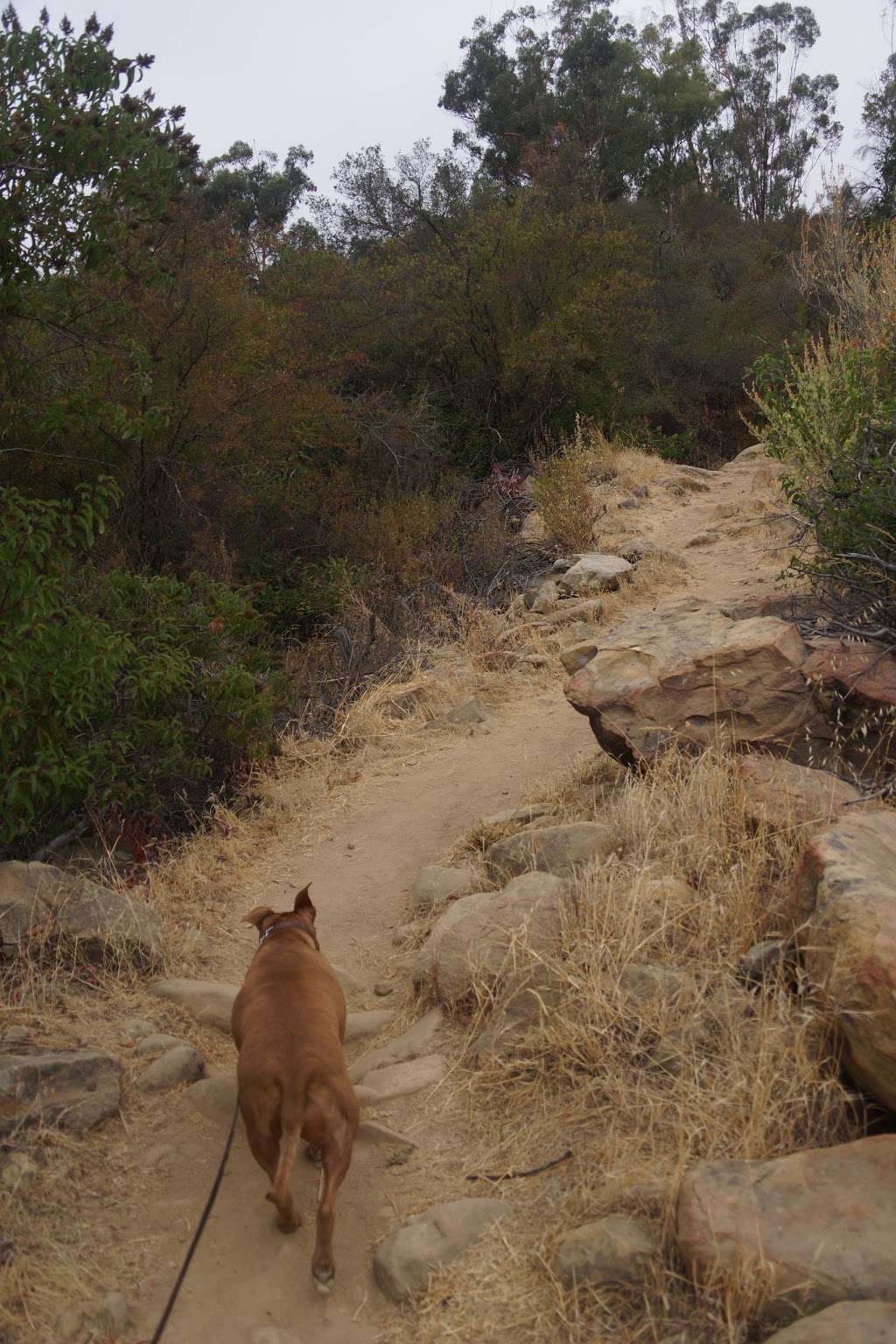 Los Padres National Forest Trailhead | Ojai, CA 93023, USA | Phone: (805) 646-4348