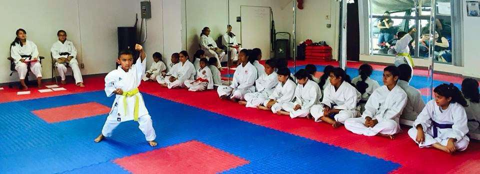 Seishin Karate Dojo | 4400 1/2 N FigueroaSt, Los Angeles, CA 90065, USA | Phone: (323) 919-7313