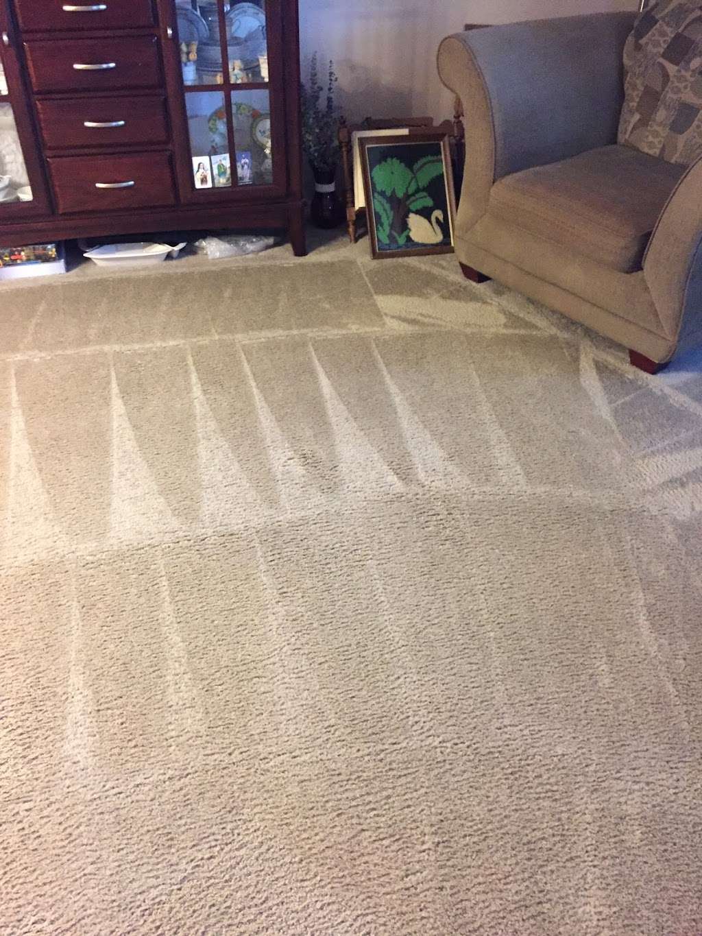 Marekcare Carpet Cleaning | 14515 Independence Dr, Plainfield, IL 60544 | Phone: (779) 435-9717