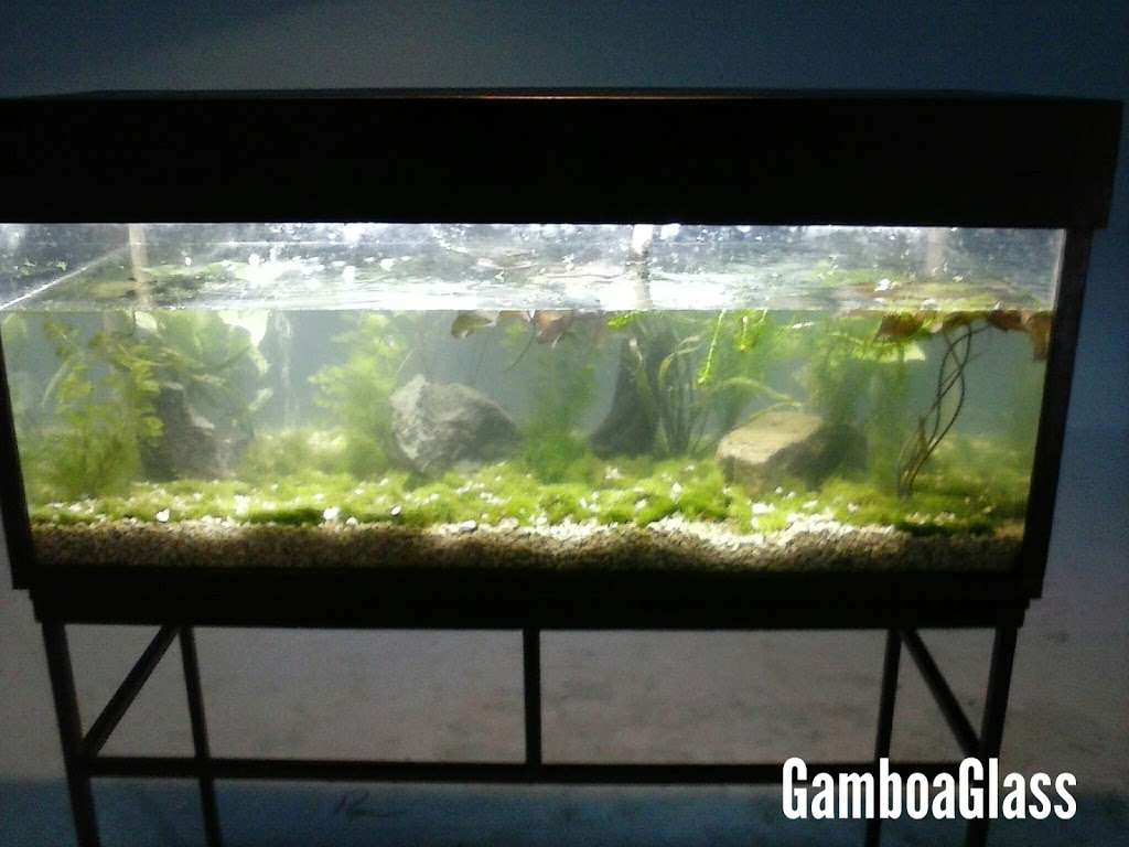 GamboaGlass | 8619 Vinkins Rd, Houston, TX 77071, USA | Phone: (956) 319-8141