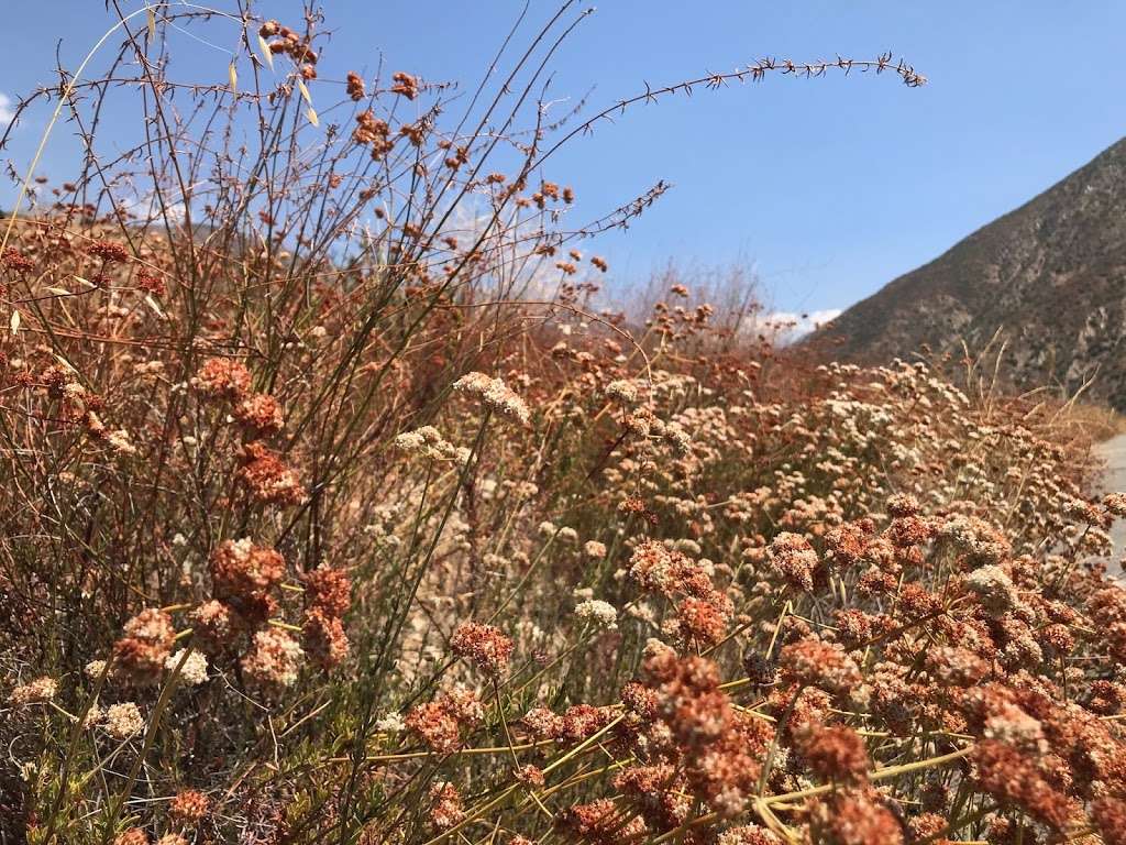 Bichota Canyon Trail | Bichota Canyon Trail, Azusa, CA 91702