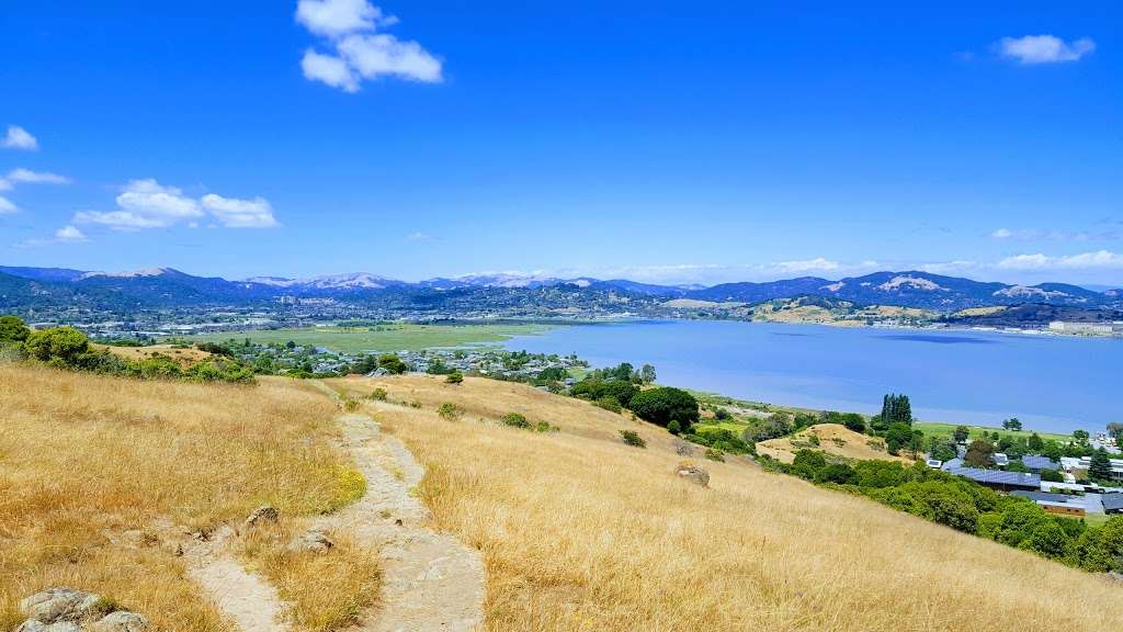 Ring Mountain Open Space Preserve | Loop Trail, Corte Madera, CA 94925, USA
