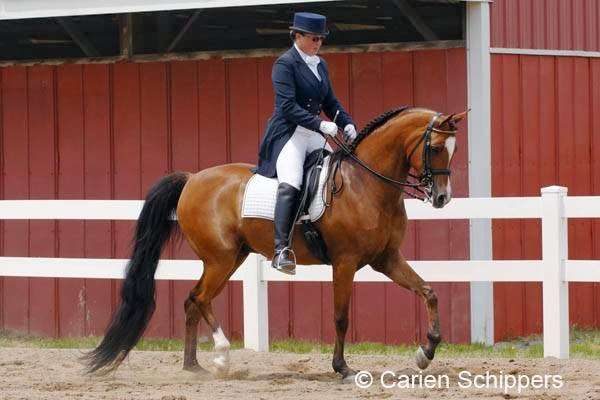 Crescendo Training Centre, LLC | 288 S Fairmount Rd, Ephrata, PA 17522, USA | Phone: (717) 354-5585