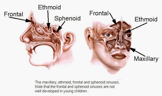 Ohio Sinus Institute | 5378 Avery Rd, Dublin, OH 43016, USA | Phone: (614) 771-9871