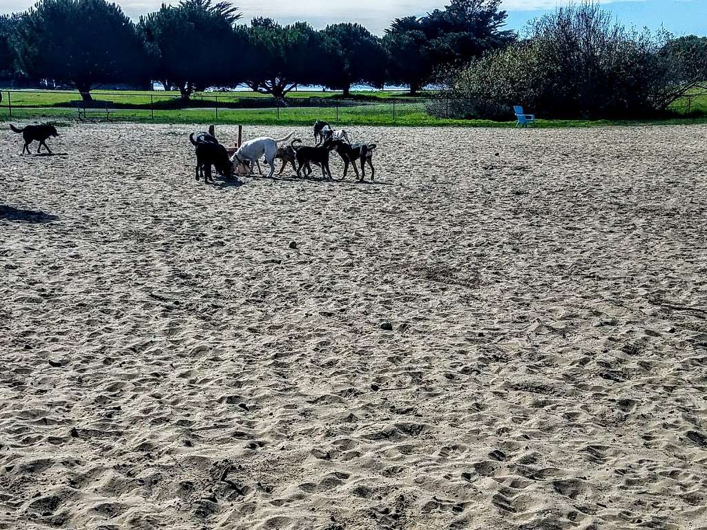 Alameda Dog Park | 1302 8th St, Alameda, CA 94501, USA | Phone: (510) 747-7400