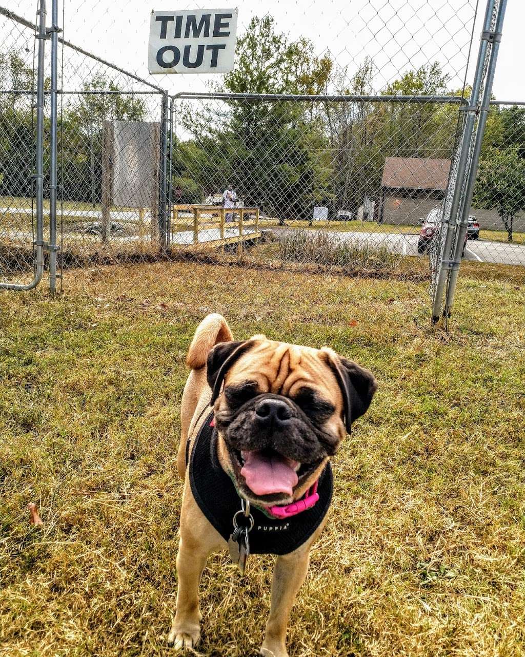 Hanover Dog Park | 12401-12829 Taylor Complex Ln, Ashland, VA 23005, USA