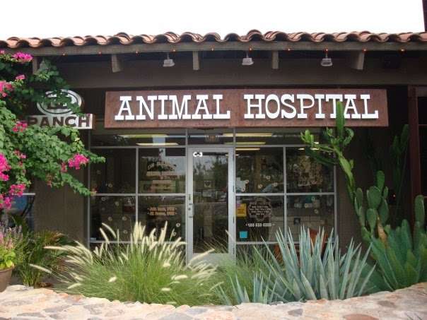 DC Ranch Animal Hospital | 20875 N Pima Rd C3, Scottsdale, AZ 85255, USA | Phone: (480) 538-8300